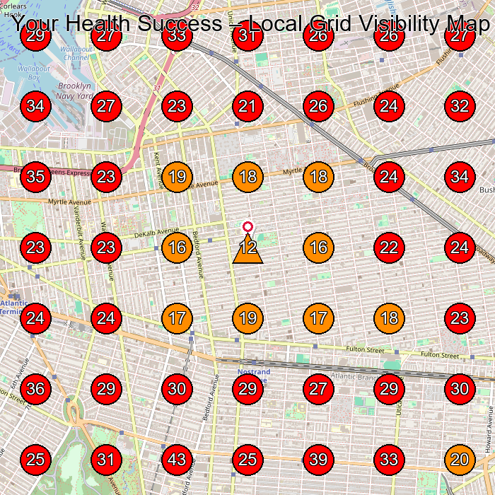 Your Health Success GeoGrid visibility map for Wellness Center in Brooklyn
